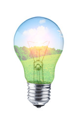 Light bulb with grassland and blue sky inside on white background