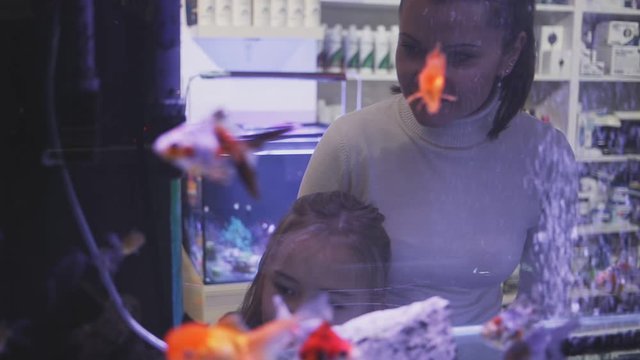 View through aquarium glass of young woman with little girl looking at colorful tropical fish in pet shop
