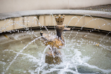 Corner of the Golden Duck (Zakątek Złotej Kaczki) in Warsaw, Poland © SylwiaMoz
