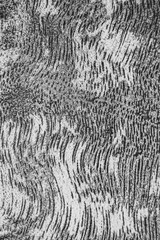 Minimal black texture background wood