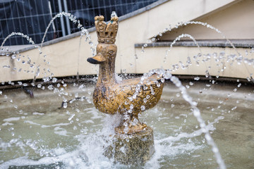 Corner of the Golden Duck (Zakątek Złotej Kaczki) in Warsaw, Poland