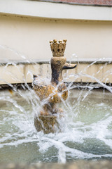 Corner of the Golden Duck (Zakątek Złotej Kaczki) in Warsaw, Poland © SylwiaMoz