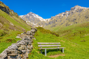 The Swiss Alps at Murren, Switzerland. Jungfrau Region. The valley of Lauterbrunnen from Interlaken.