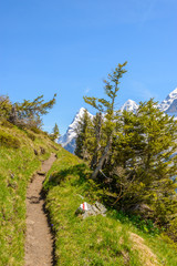 Crossing the Alps. Hiking trail in the Alps. Murren. Switzerland.