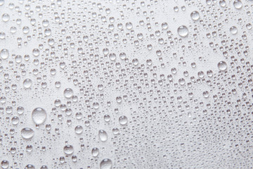 Water rain drops or water drops on white background. Many water drops  on canvas