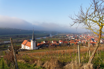 Landschaft und Weinberge bei Stammheim, Landkreis Schweinfurt, Unterfranken, Franken,  Bayern, Deutschland.