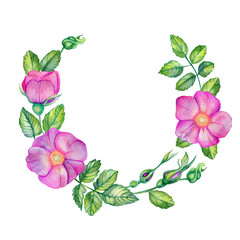 Watercolor wreath with wild rose.