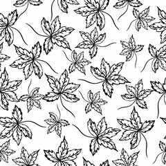 Seamless pattern with leaves on an isolated background. Coloring book for children and adults.
