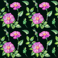 Watercolor seamless pattern with rose hips.