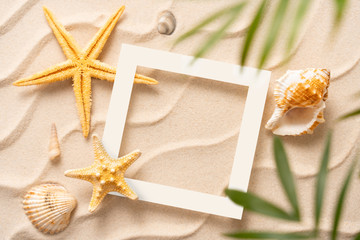 Fototapeta na wymiar Frame summer background, Sand, shells, Seastar with blurred Palm, vacation and travel concept, Flat lay top view copy space