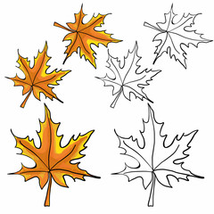 Leaves coloring book. For books. Coloring book for children and adults. Vector leaves.