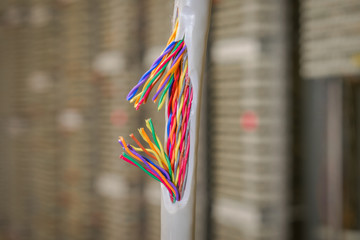 Damaged insulating material of a stranded telephone wire. Gap color telecommunication cable....