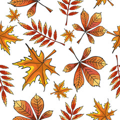 Seamless pattern with leaves on an isolated background. Windy colored leaves.