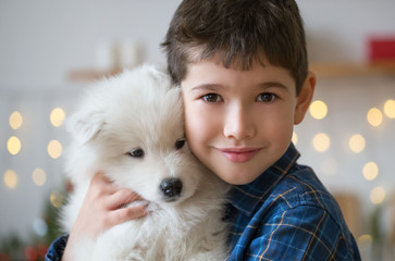  Boy, home, samoyed puppy, fun