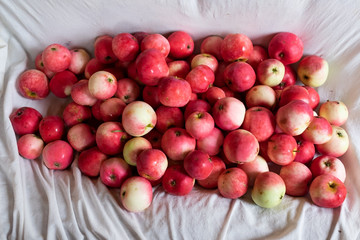 Red fresh ripe apples white background. Top view.