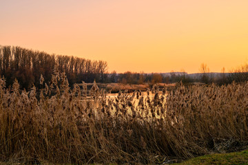 Fototapeta na wymiar Sonnenuntergang im Vogelschutzgebiet NSG Garstadt bei Heidenfeld im Landkreis Schweinfurt, Unterfranken, Bayern, Deutschland