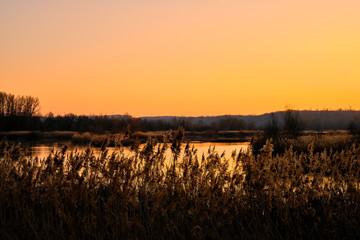 Sonnenuntergang im Vogelschutzgebiet NSG Garstadt bei Heidenfeld im Landkreis Schweinfurt, Unterfranken, Bayern, Deutschland