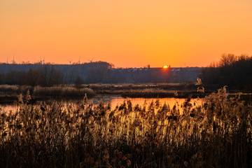 Fototapeta na wymiar Sonnenuntergang im Vogelschutzgebiet NSG Garstadt bei Heidenfeld im Landkreis Schweinfurt, Unterfranken, Bayern, Deutschland