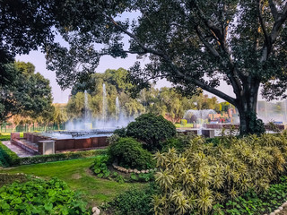 Obraz premium park in the city delhi india 