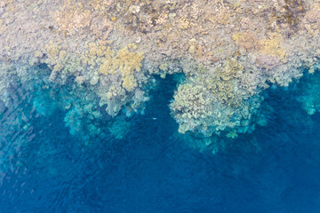 Healthy coral reefs fringe remote limestone islands amid Raja Ampat, Indonesia. This amazing region is famous for its high marine biodiversity and is a popular destination for divers and snorkelers.