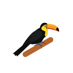 Isolated toucan illustration in vector. Tropical bird illustration