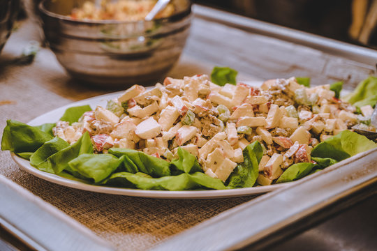Chicken Salad with Apples Catering Food Dinner Dish
