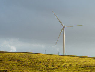 Wind Turbine in South Africa

