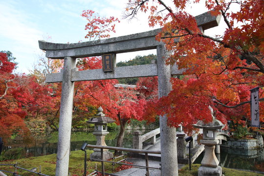 Autumn leaves at Eikan-do temple, Kyoto, Japan