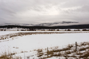 Snow covered pasture with thick tree line and fog shrouded mountain range on overcast day