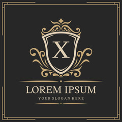 Luxury logo template, letter X logo design, vector illustration