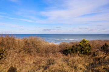 Massachusetts coast - landscape by the sea