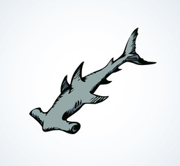 Seaweed. Vector drawing