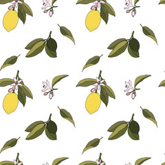 Lemons floral seamless fresh organic citrus fruits vector eps pattern on white background.