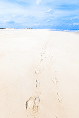 Sandy beach.