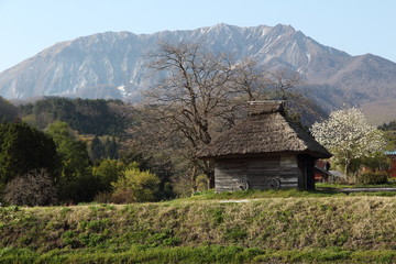 Fototapeta na wymiar 鳥取県　江府町　御机地区　茅葺き屋根の小屋