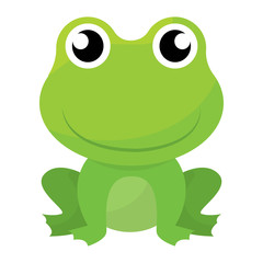 Isolated cute frog