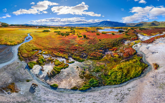 Aerial view of a bear walking in the Uzon caldera, Kamchatka, Russia