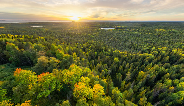 Aerial view of a forest in Solovetsky Islands, Russia