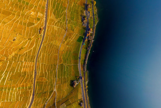 Aerial view of Vineyards and Lake Geneva,
Swiss Riviera, Switzerland