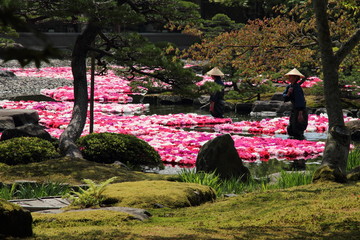 島根県　由志園　池泉牡丹