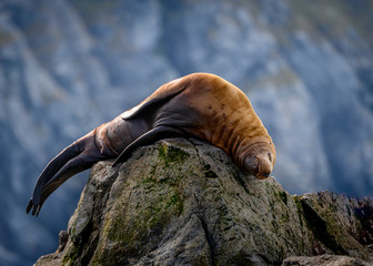 Catching an uncomfortable nap