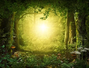 Peel and stick wall murals Fairy forest Beautiful enchanting fairy tale lush woodland, 3d render.