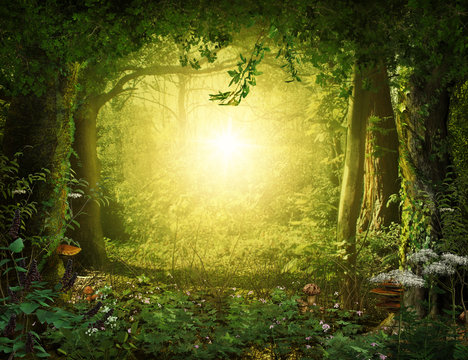Beautiful enchanting fairy tale lush woodland, 3d render.