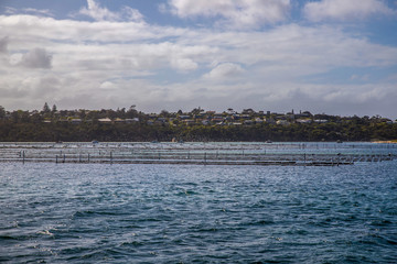 panorama of city Australia