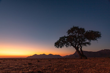 Fototapeta na wymiar Sunset