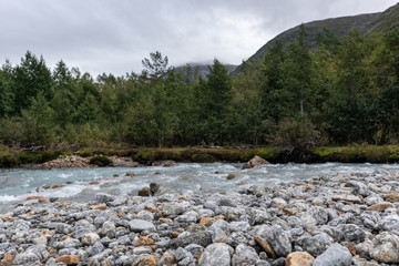 View on glacier from river bench. Forest, stones