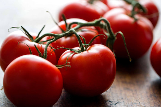 Straight view of vine tomatoes