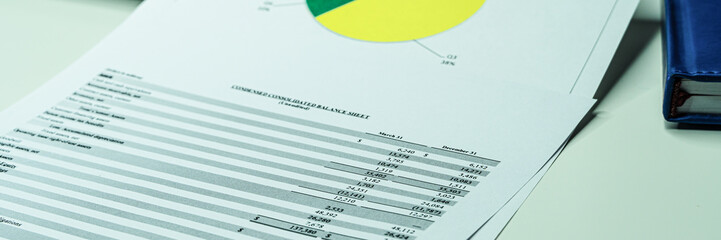 Financial business planning, Balance the investment portfolio. panoramic banner.