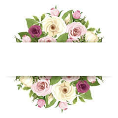 Vector background banner with pink and white roses and lisianthus flowers and blackberries.