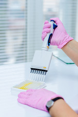 A lab technician, in pink gloves, performs a blood test.
